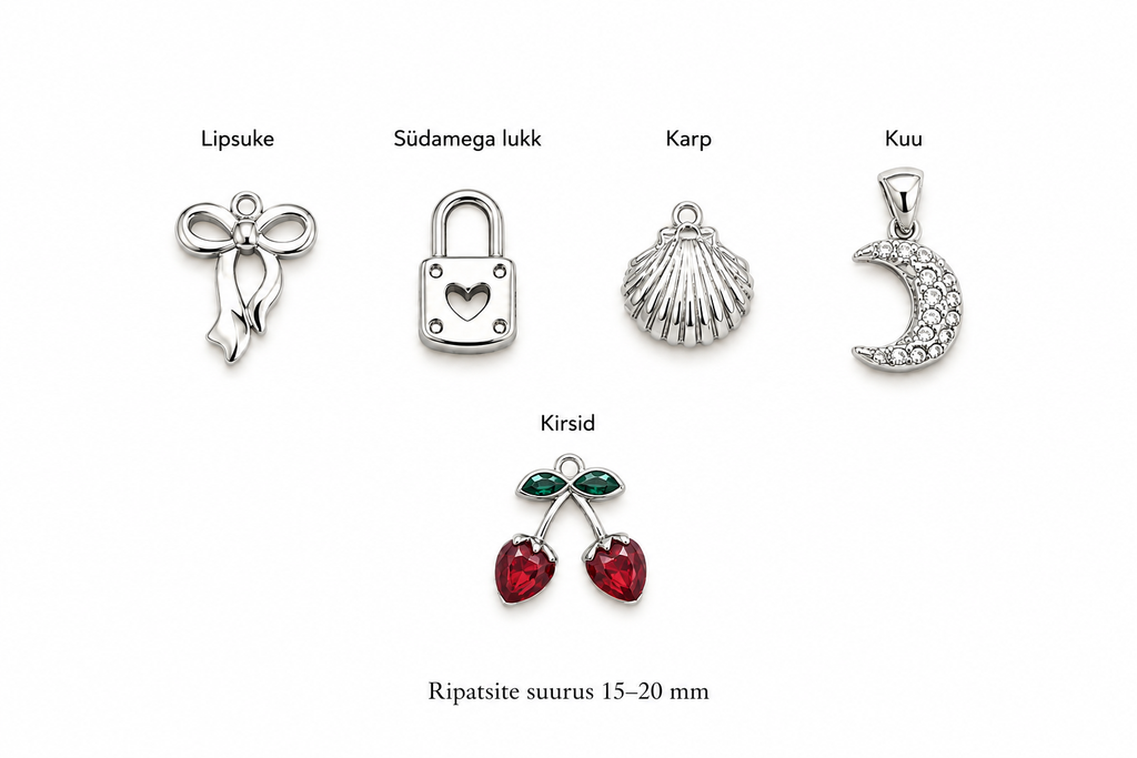 Loo oma charm (ripats) käekett hõbedane
