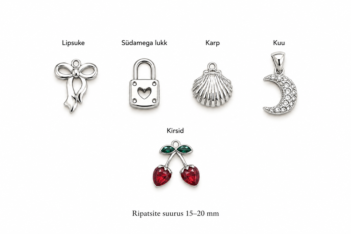 Loo oma charm (ripats) käekett hõbedane