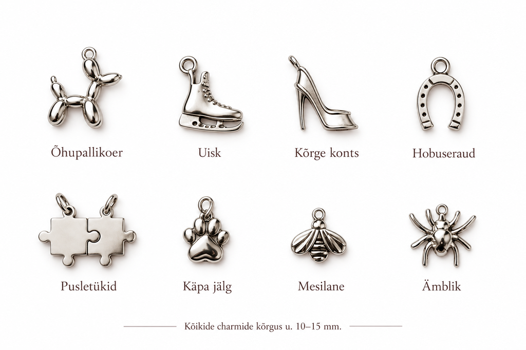 Loo oma charm (ripats) käekett hõbedane