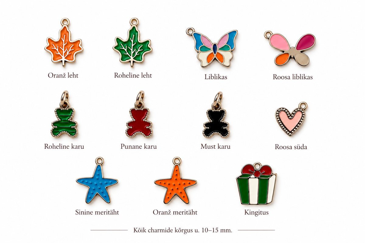Loo oma charm (ripats) käekett hõbedane
